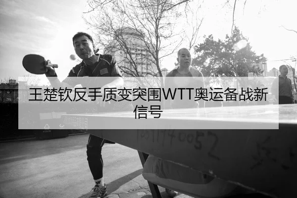 wang-chu-qin-fan-shou-zhi-bian-tu-wei-ao-yun-bei-zhan-xin-xin-hao-2-439.jpg
